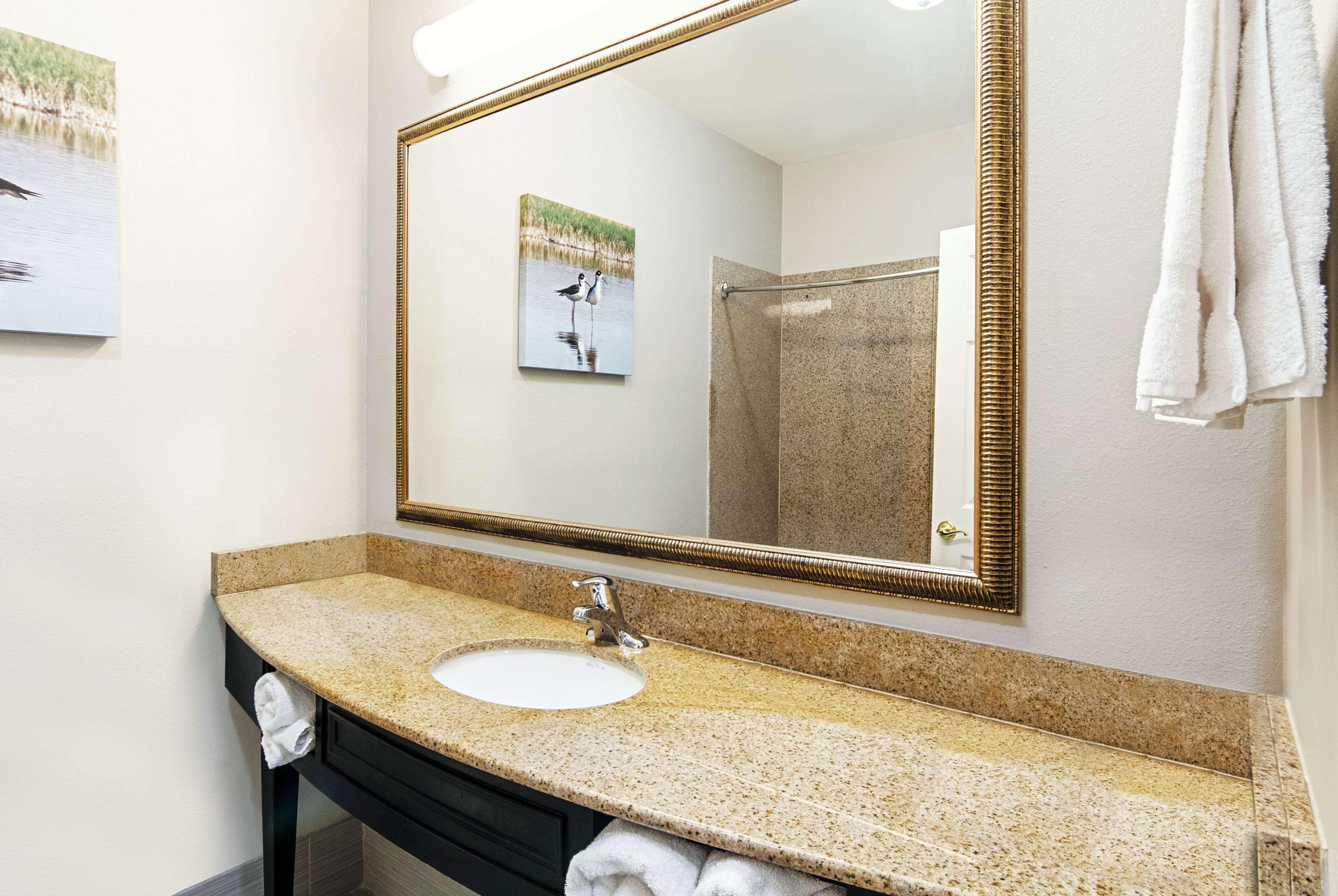La Quinta By Wyndham Alamo-Mcallen East Buitenkant foto